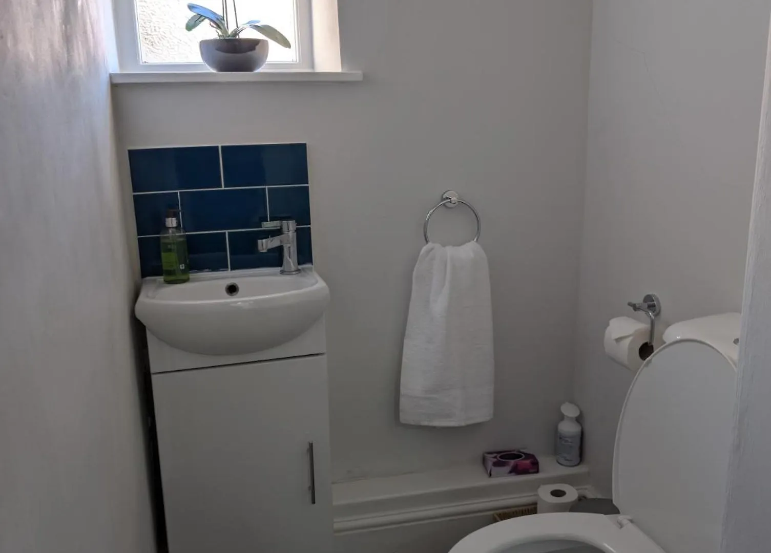 Two Apartments For Larger Group Pickering 0*,
